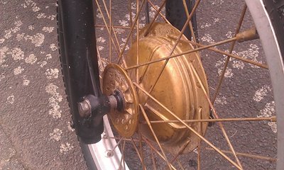 IMAG0675.jpg