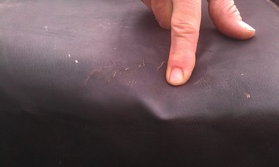 IMAG0680.jpg