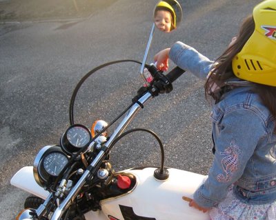 Chromspiegel Original 1.JPG