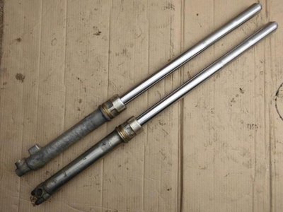 Gabel Bucht.jpg