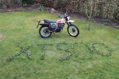 XT 500 Frühling 2015 006.JPG