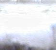 detail Tom.JPG