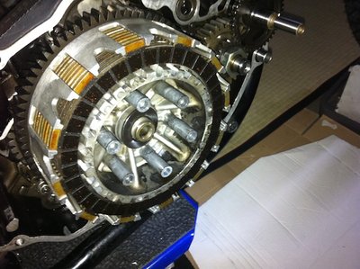 klein IMG_1541.JPG