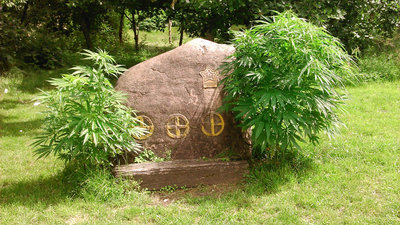 20160715_125048_j_Christiania_Hanf_1100.JPG (470.16 KiB) 15992 mal betrachtet 20160715_125048_j_Christiania_Hanf_1100.JPG