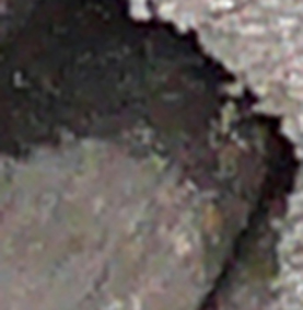 P1090726_teilansicht_1.jpg