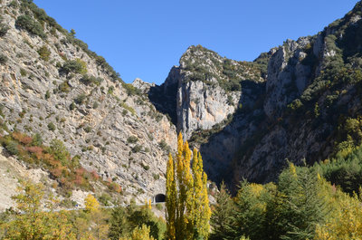 DSC_8117_klein.jpg