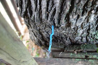 DSC01286.1.JPG (232.16 KiB) 6304 mal betrachtet DSC01286.1.JPG