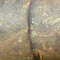 08-detail1.jpg