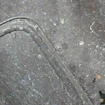 11-detail2.jpg