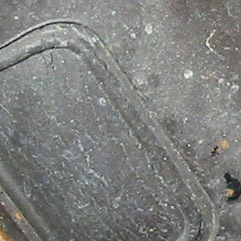 11-detail3.jpg