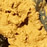 24-detail1.jpg