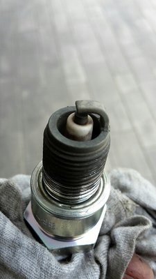 image.jpeg