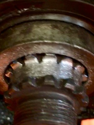 IMG_1391.jpeg
