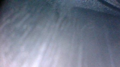 image.jpeg