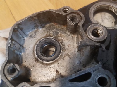 20190428_133110.jpg