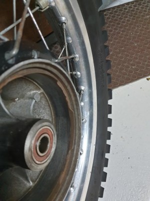 20190428_113528.jpg