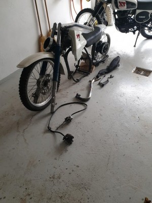 XT Scrambler.jpg