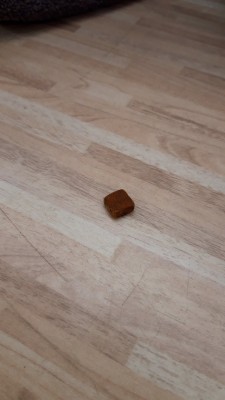 20201116_212819.jpg