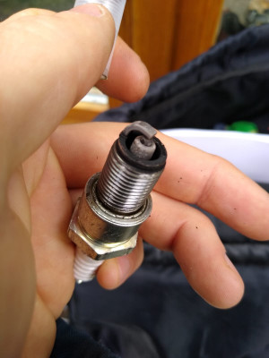 WhatsApp Image 2021-05-11 at 23.56.08.jpeg