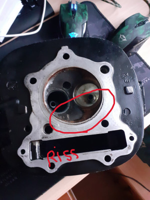 bg.jpg (367.35 KiB) 2261 mal betrachtet bg.jpg