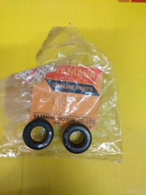 tmp-1733420465354_480640.jpg