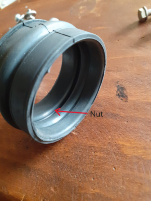 Nut 1.JPG