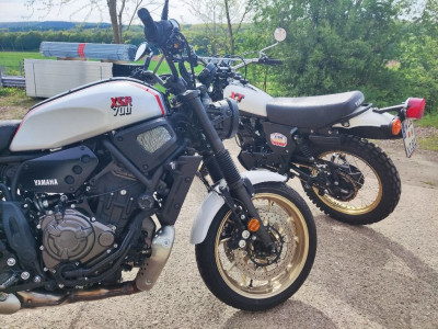 XSR9.jpg