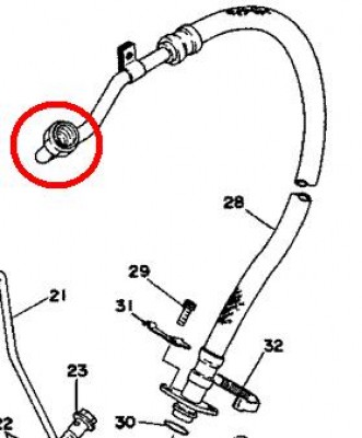 Image1.jpg