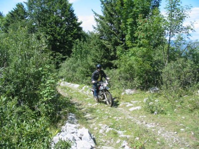 2005-08-13_0070_Gruesser.jpg