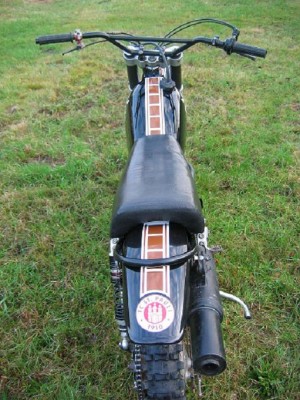 Pauli XT 02.JPG