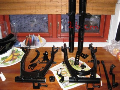 Ovalrohrschwinge_1 Malossi.JPG