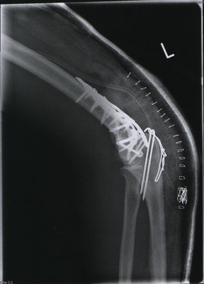 2010-02-19 10-32-09_0020a.jpg