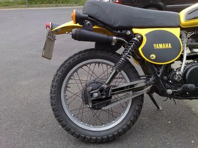 Thaischwinge FAKE.jpg