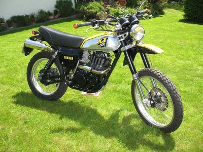 Biene im Garten 2.jpg