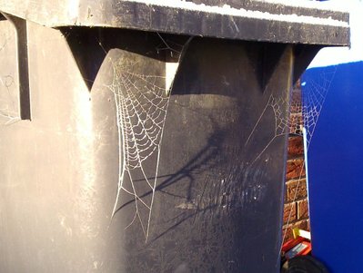 20101127_001k.jpg