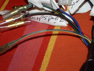 IMGP0990.JPG