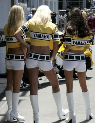 yamaha_rear.jpg