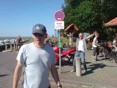 hunde wollt ihr ewig leben.jpg