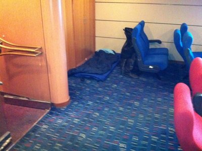 IMG_0489 [640x480].JPG