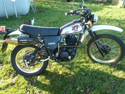 XT 500 Fertig 010 (Large) (2).jpg