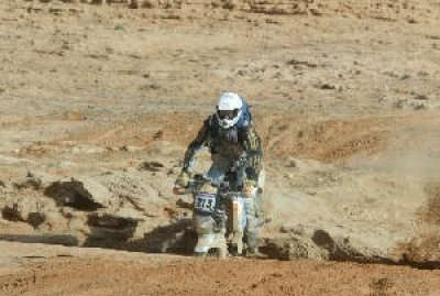stunt001.gif