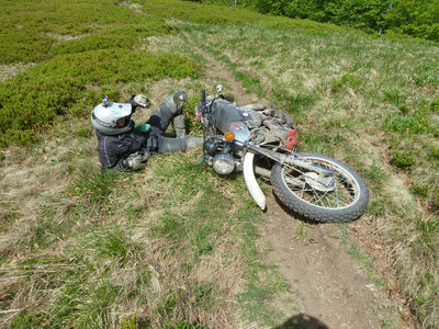 P1060331.JPG