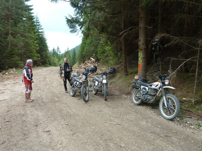 P1060347.JPG