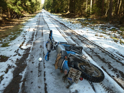 P1070996 klein liegt.jpg