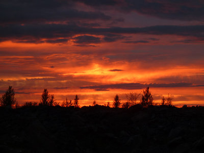 P1080217 sunset.jpg