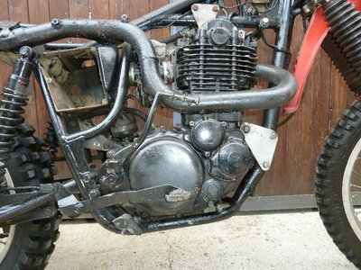 Kopie von P1150392(1)(1).JPG