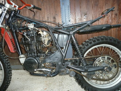 Kopie von P1150414(1)(1)(1).JPG