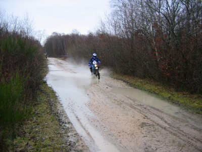 IMG_09716_Olivet_Nr6.jpg