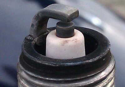 IMAG0251-1.jpg