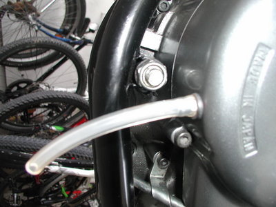 KleinP1010038.jpg
